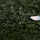 Image for article titled Lawsuit Alleges NFL Directed Insurance Carrier To Deny Disability Claims